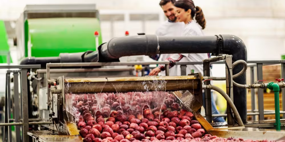 Как подобрать насос для перекачивания вязких продуктов на агроперерабатывающем предприятии