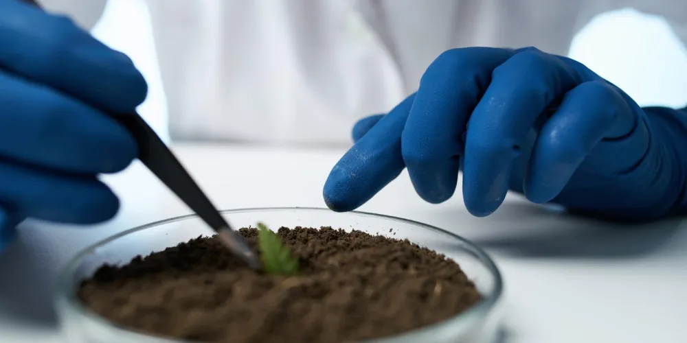 Chemical analysis of soil and popular research methods