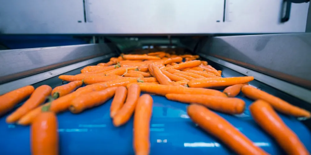 How automatic dosing helps reduce overfill and speed up the packaging line