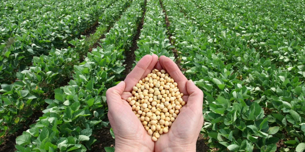 Additional equipment at the right moment: how Yakush-Agro LLC coped with the sowing season