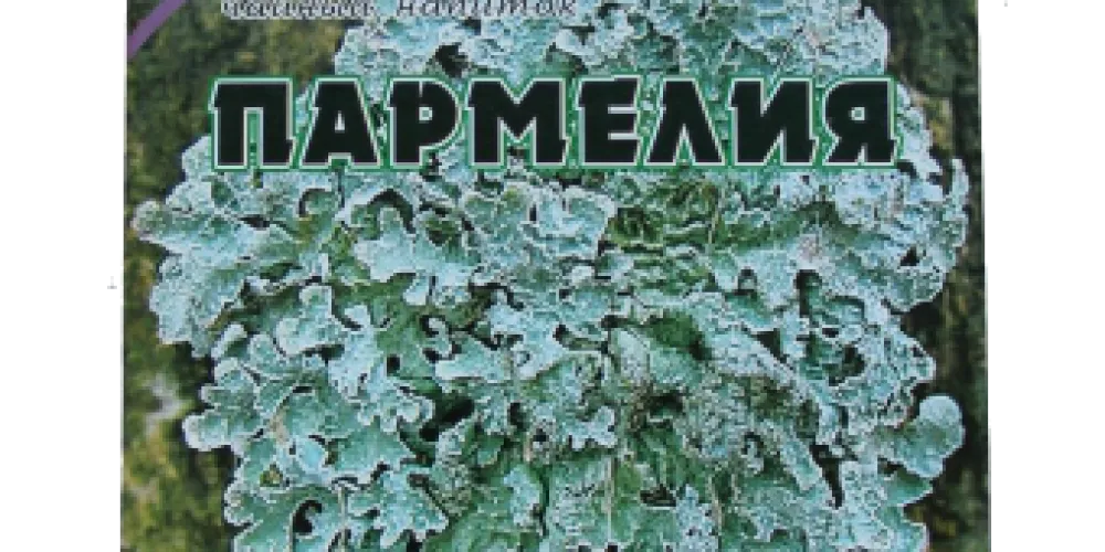 Пармелия: состав, свойства, применение, заготовка, хранение