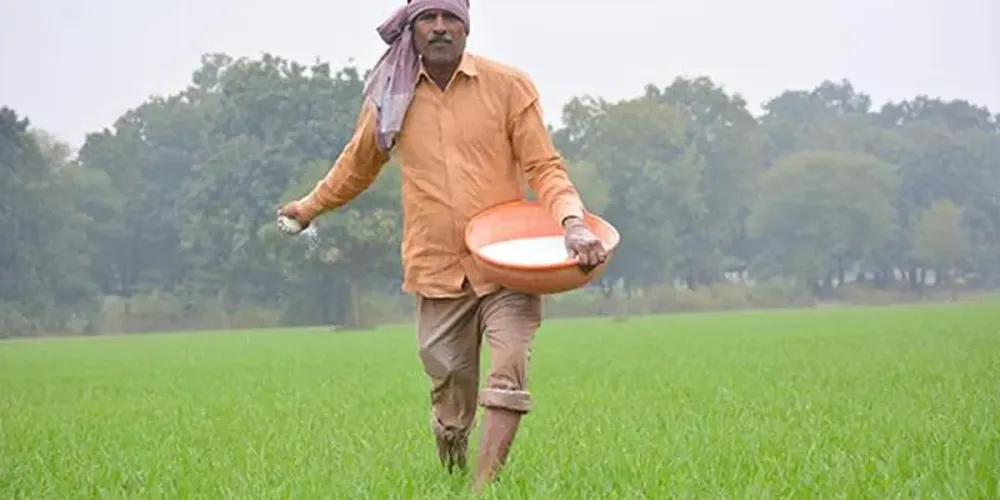 Empowering rural India through commodity market access: a financial services perspective