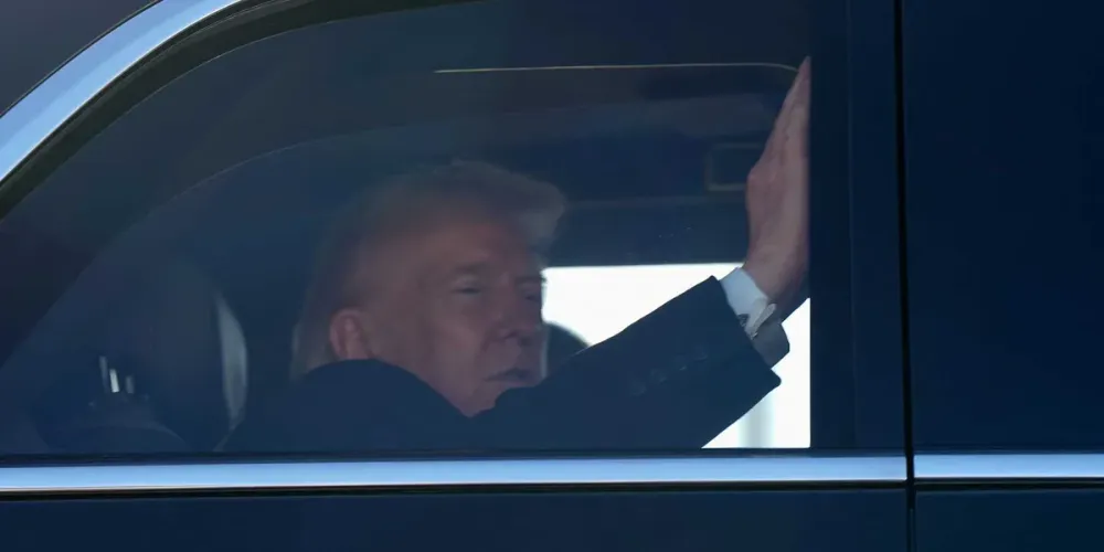 Дональд Трамп объявил о масштабной импорте говядины на фоне кризиса из-за мясной мухи
