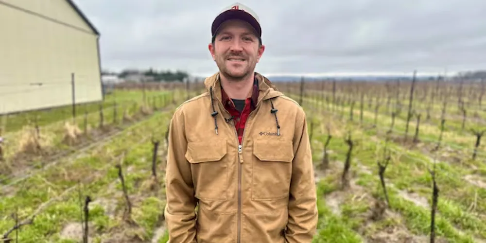 Ontario grape growers assess winter damage as local wine demand surges