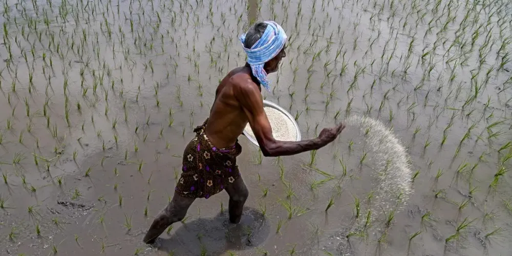 Weak monsoon may boost soluble fertiliser demand; SFAI warns of price risks