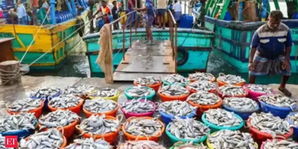 India lays groundwork for specialized Marine Export Zones