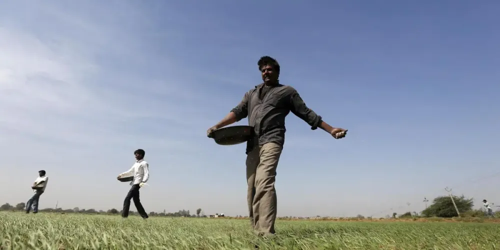 Biofertilisers reshape farming practices in India