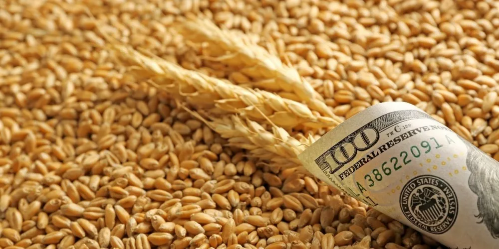 Trading Activity Begins to Recover on the Kazakhstan Wheat Market