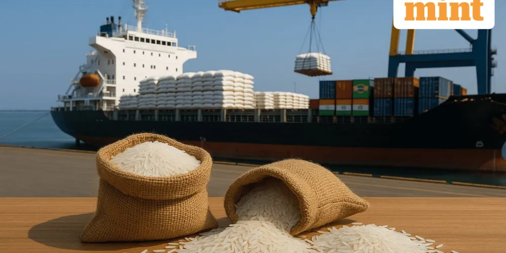 India moves to support basmati exporters as war-driven freight surge disrupts trade