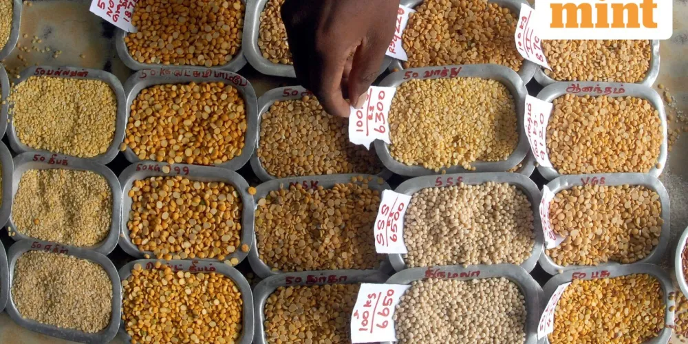 In a first, Bihar joins Centre’s direct pulse procurement network