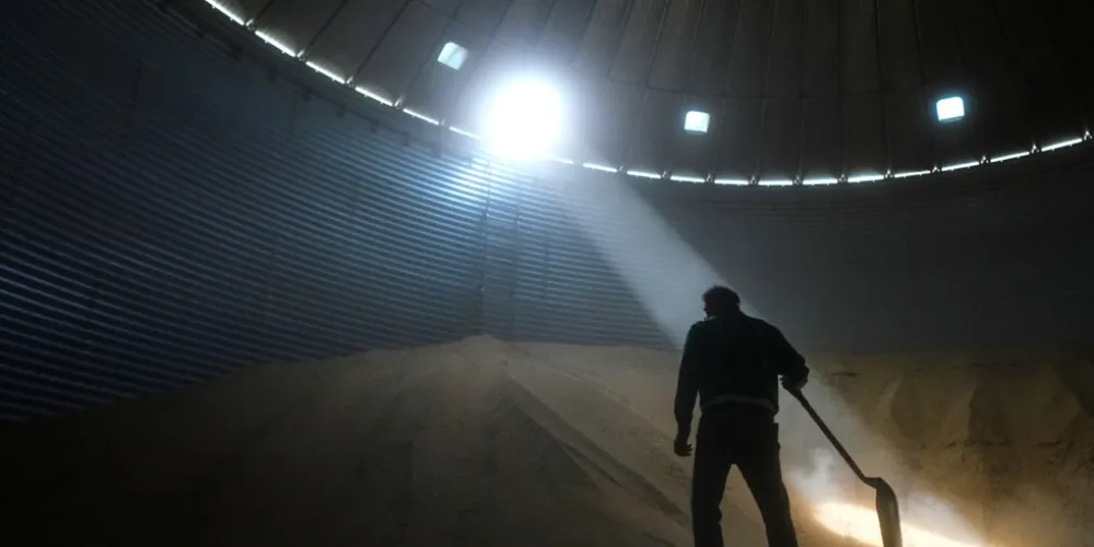 US Midwest soybean farmers face tariffs, input costs and Iran war fallout