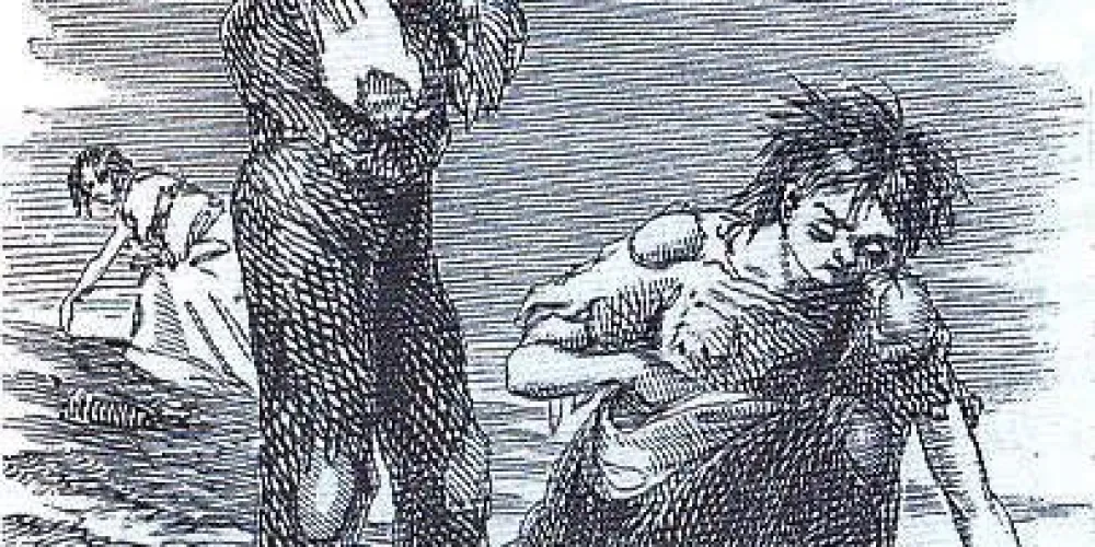 16 августа 1845 года: начало катастрофы картофельной болезни в Европе