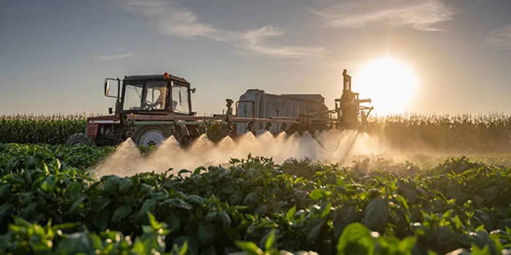California activists escalate fight against pesticide use near schools