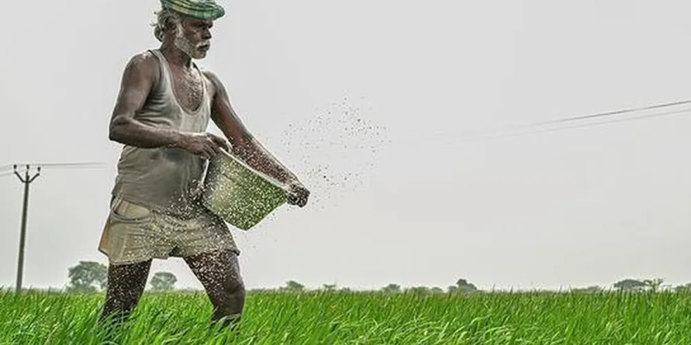 Kharif Harvest Outlook: Strong prices expected for most crops, except Bajra and Moong