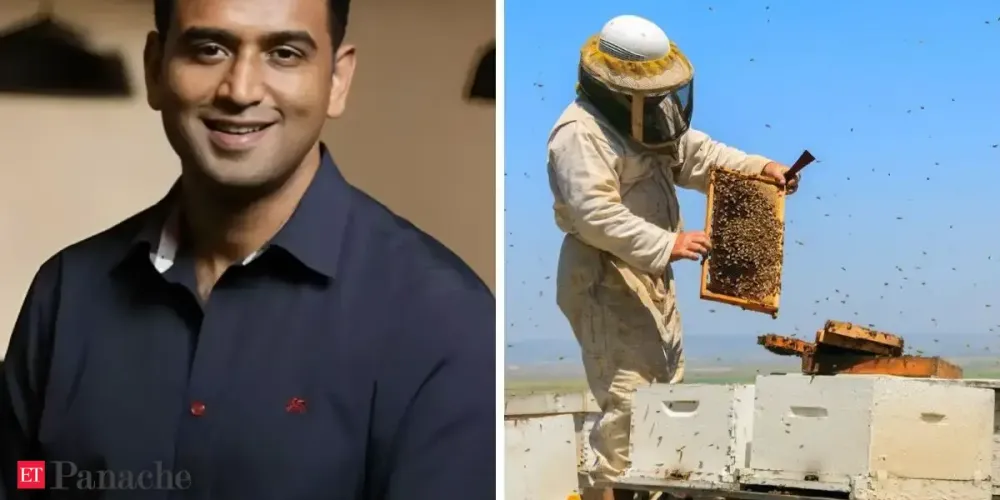 A bee box changed everything: How Nithin Kamath’s initiative boosted farm yields