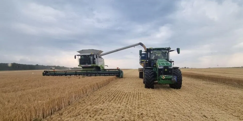 Kyiv Region Nears Completion of Harvest: 3.2 Million Tons of Grain Threshed