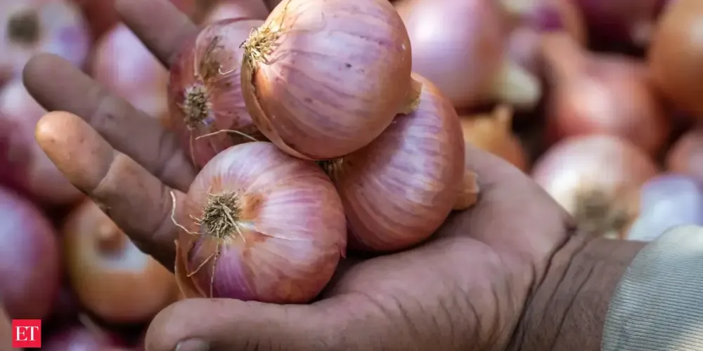 From Export Bans to Price Crashes: Why Onion Farmers Need More Than Buffer Stock Purchases