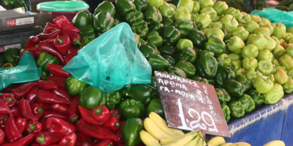 New Digital Delivery Note Rules for Greek Agricultural Products: What Farmers Need to Know
