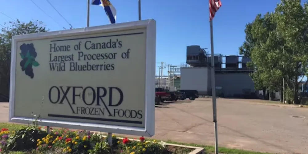 Канадський регулятор оштрафував Oxford Frozen Foods за маркування походження лохини