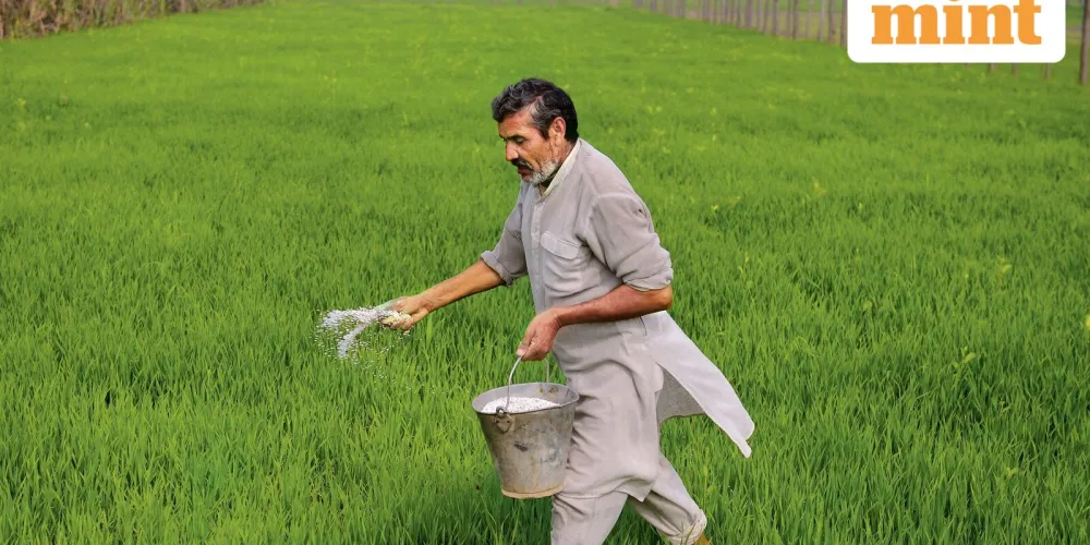 India shifts farm policy to state-specific roadmaps as monsoon risks mount