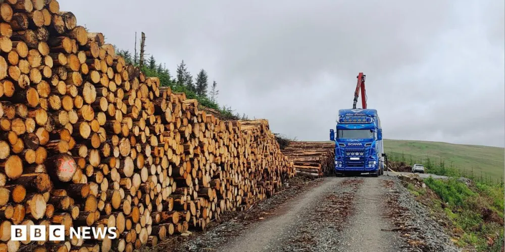 Timber transport funds to upgrade 'fragile rural roads' in Scotland