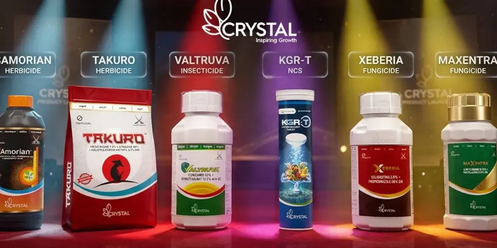 Crystal Crop launches six innovations for kharif season