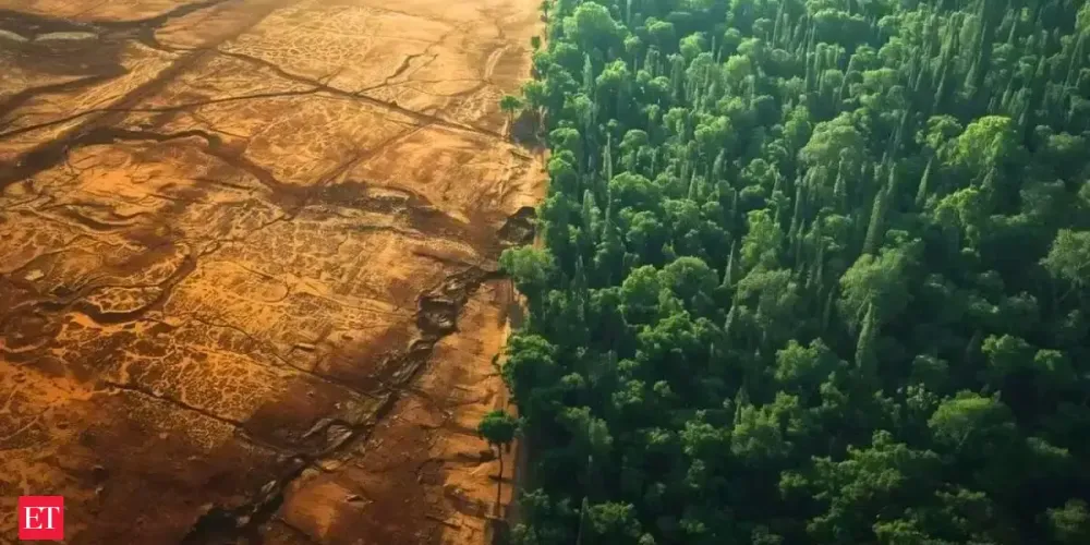 Sahara vs Great Green Wall: The 8,000-km Belt Fighting Desertification