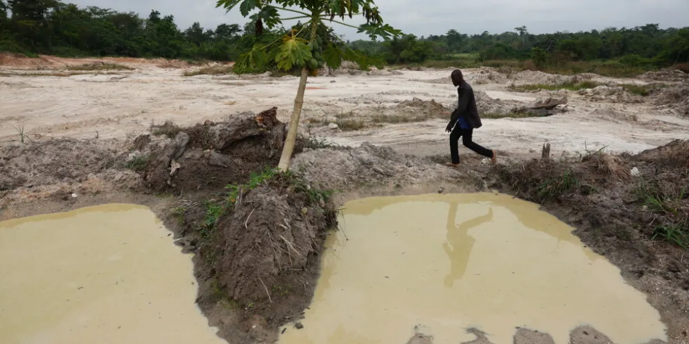 West African cocoa farmers hit by crash in cocoa prices