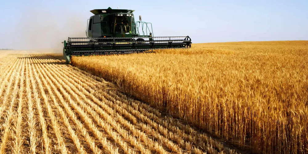 Verum Agro Platform for Online Sales and Purchase of Agricultural Machinery