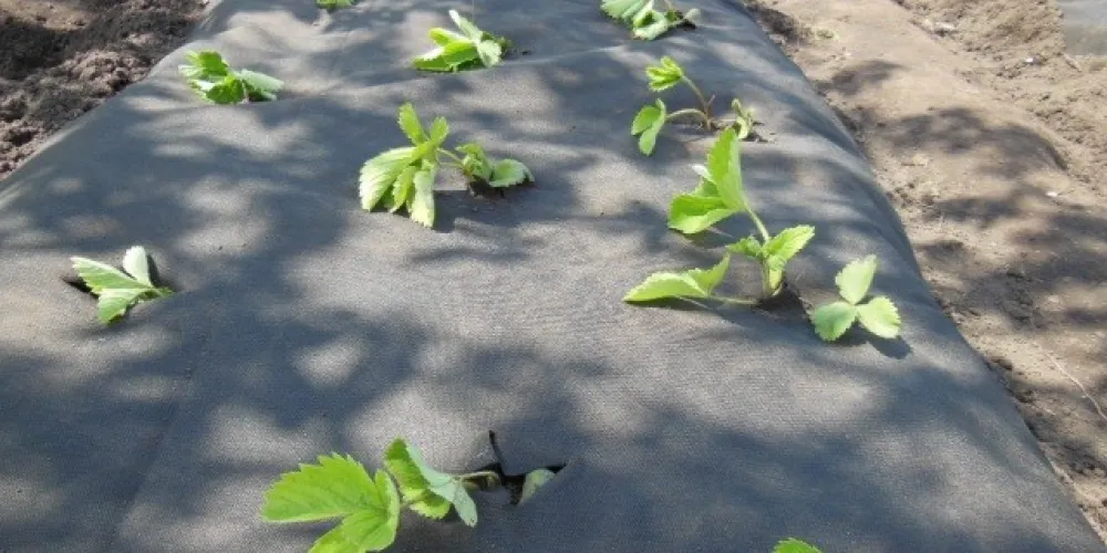 Agrovilokno - an indispensable tool in agriculture: types and applications