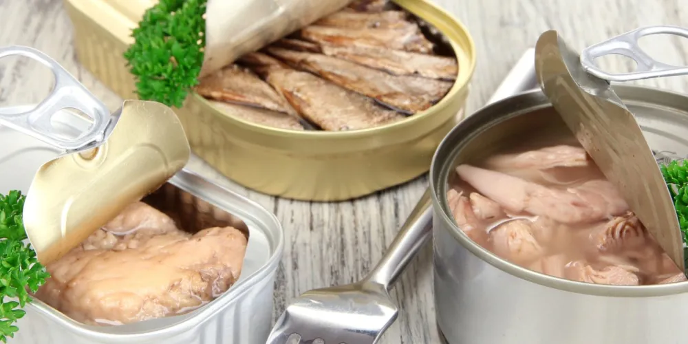 Canned Fish: Benefits, Variety, and Where to Buy