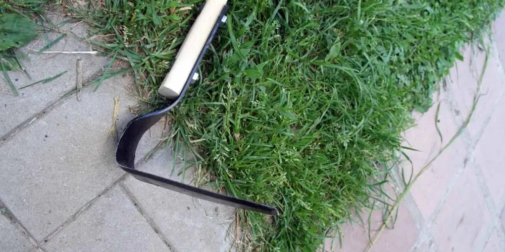 Useful Tips for Those Who Decided to Take Up Organic Gardening