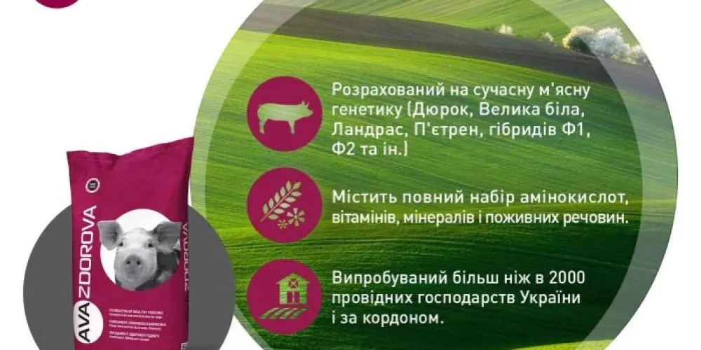 Обираємо стартовий корм: поради для новачків свинарства