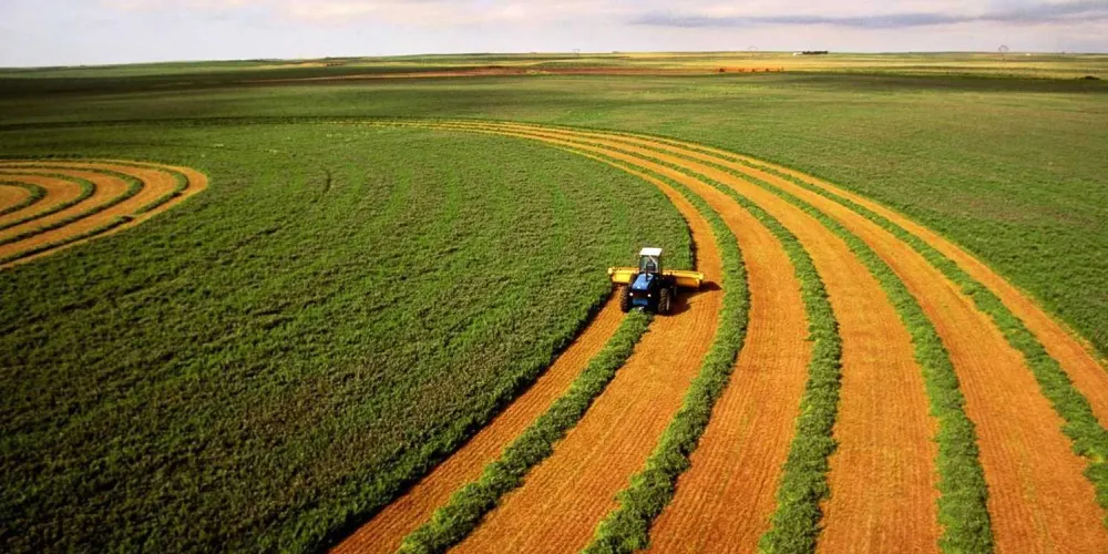 AgroGo: будущее сельского хозяйства уже здесь. Как цифровая платформа оптимизирует аренду техники и выполнение агроопераций