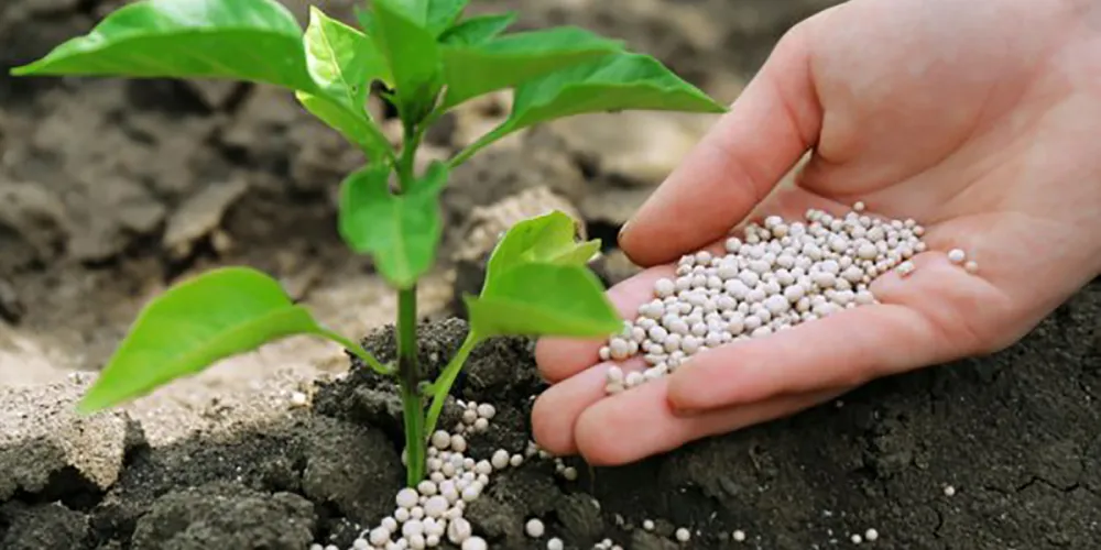 Choosing Between Organic, Mineral, and Organic-Mineral Fertilizers