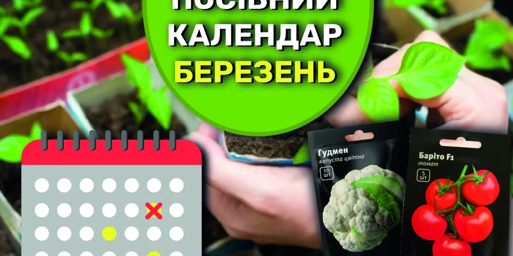 Що і коли саме посіяти в березні на розсаду?