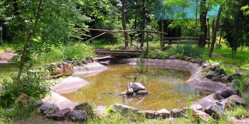Геомембрана для водоемов: как предотвратить утечку воды и сохранить экосистему
