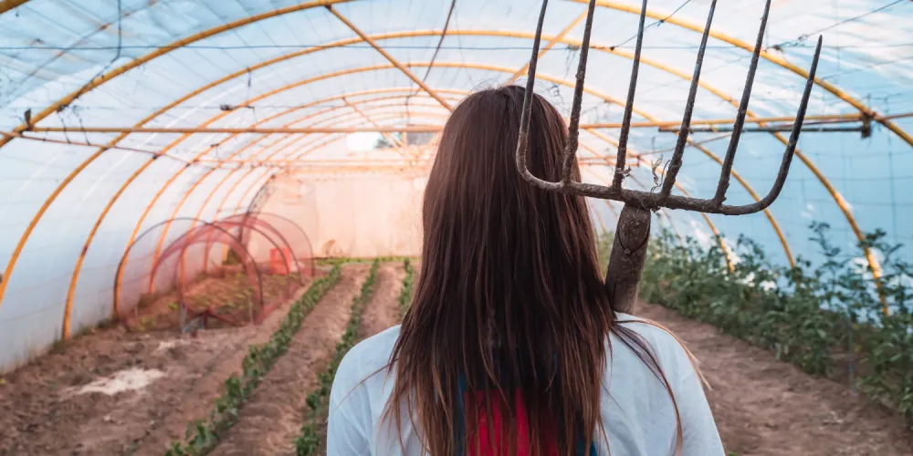 Greenhouse Heating with Solid Fuel Boilers: Savings for Farmers