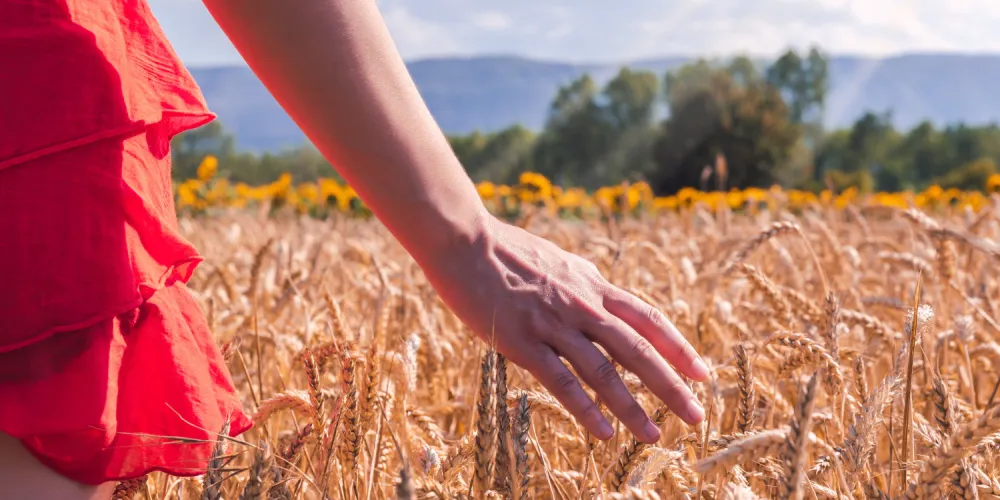 How LANDEX AGRO Agroholding Revives the Lands of Kharkiv Region After De-occupation