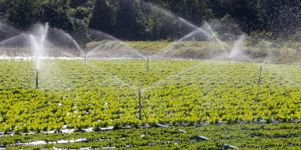 UAN and liquid complex fertilizers: how fertilizers are applied in agriculture