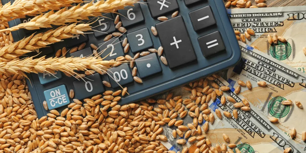Сколько стоит РКО в 2026 году для сельхозбизнеса: как рассчитать реальную стоимость тарифа