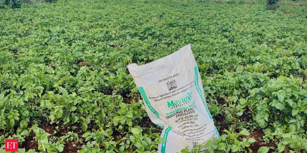 China tightens fertilizer export inspections as global prices surge