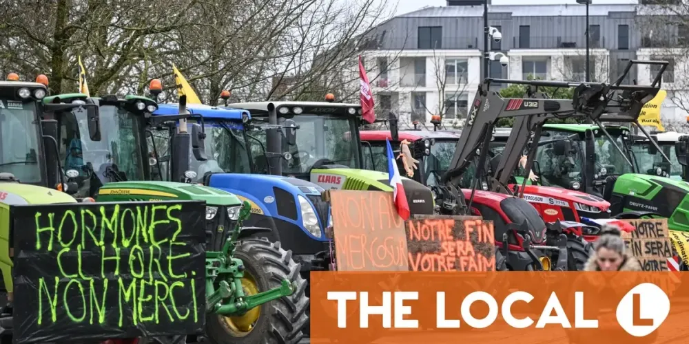 EU-Mercosur trade deal takes effect and sharpens the battle over farm imports into Europe