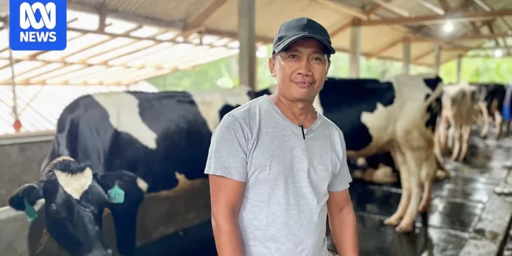 Australian-backed dairy recovery helps West Java farms rebuild after FMD
