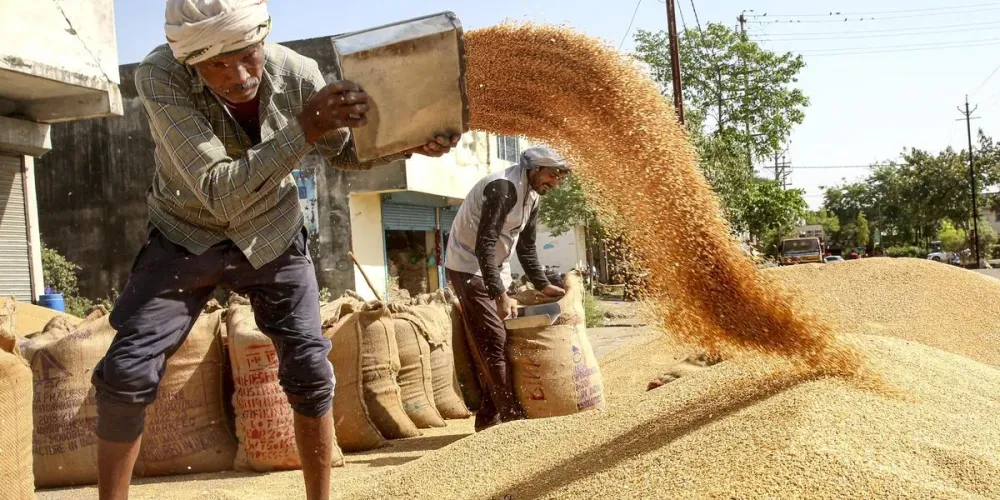 Madhya Pradesh extends wheat procurement slot booking deadline to May 23