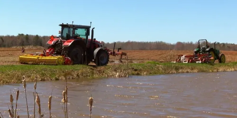Nova Scotia growers invest in irrigation after drought slashed yields