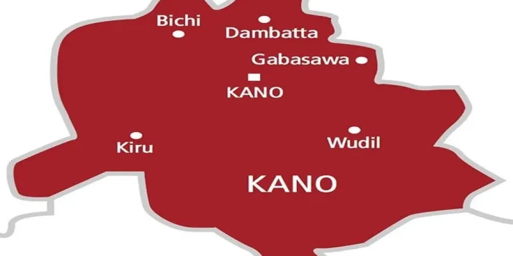 Kano warns of wider crop and price damage as Tuta absoluta spreads through tomato areas