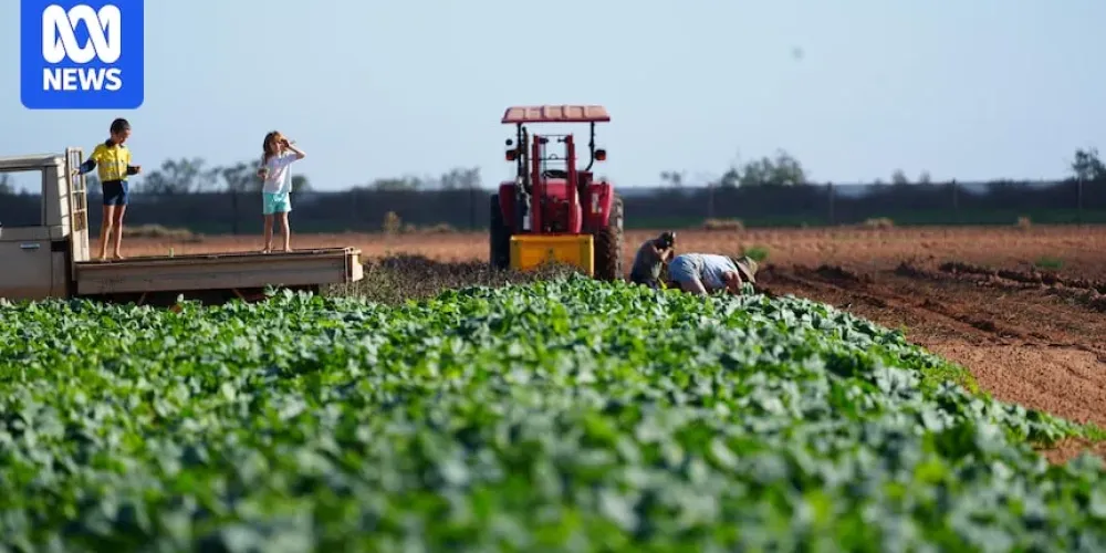 Australian farm trusts win income carve-out but still face capital-gains pressure