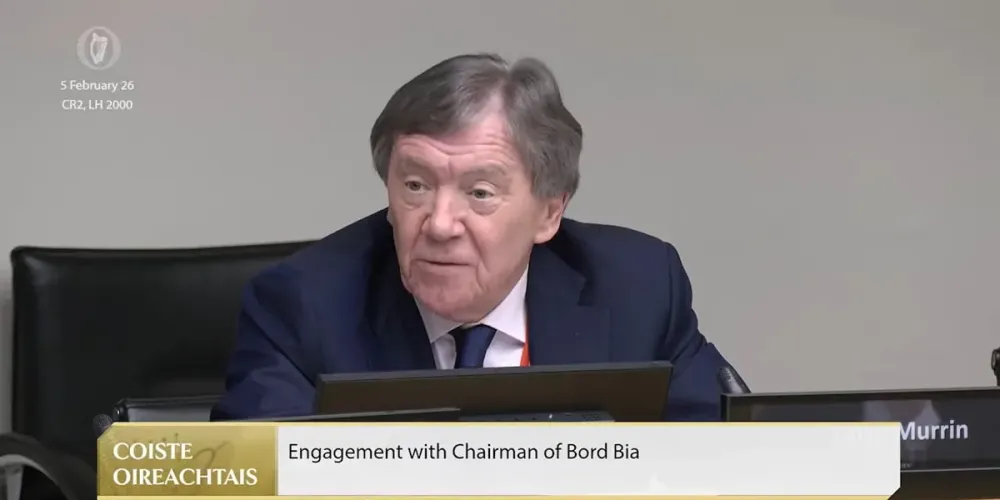 Bord Bia governance review backs chair after Brazil beef protest row