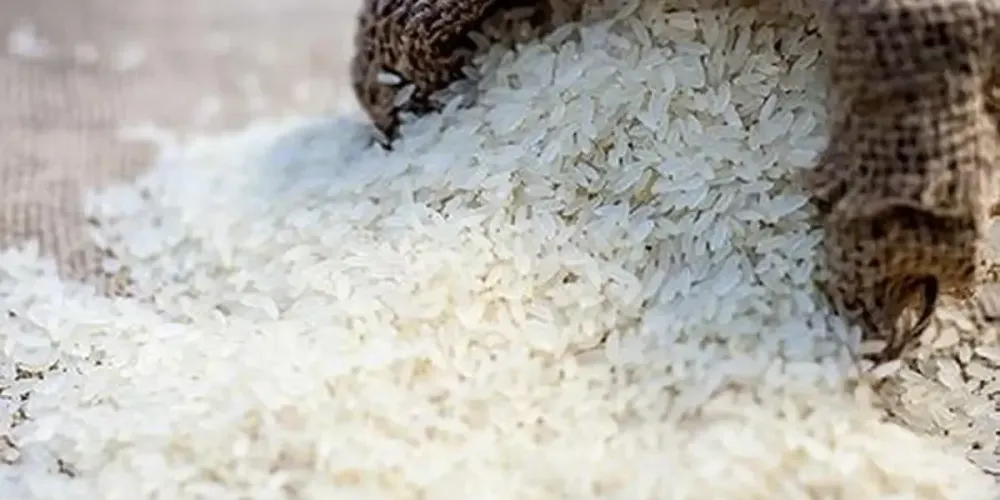 FAO warns El Nino could hit India’s monsoon, rice and maize output